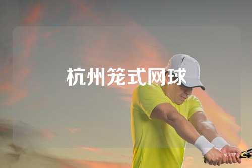杭州笼式网球