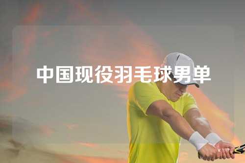 中国现役羽毛球男单