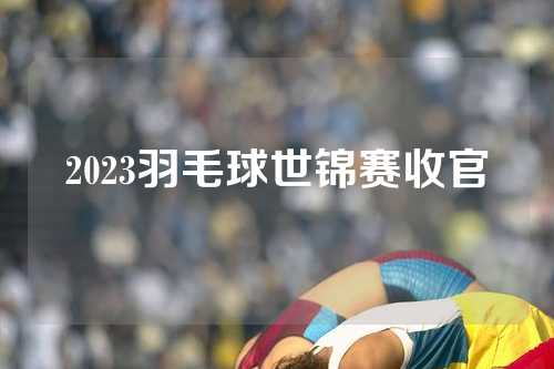 2023羽毛球世锦赛收官