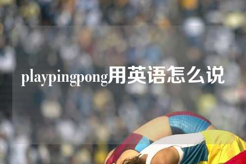 playpingpong用英语怎么说