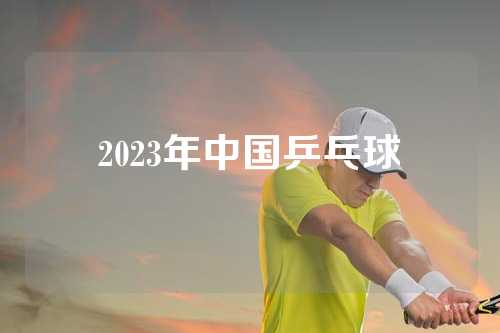 2023年中国乒乓球