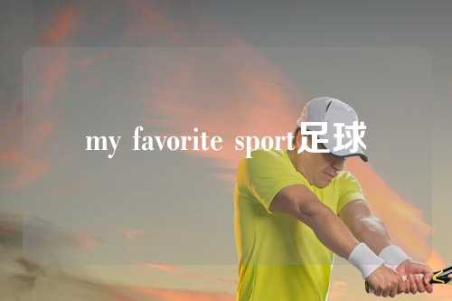 my favorite sport足球