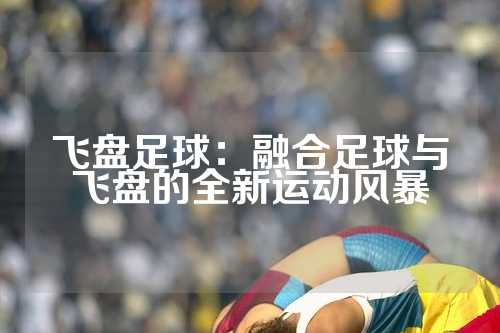 飞盘足球：融合足球与飞盘的全新运动风暴