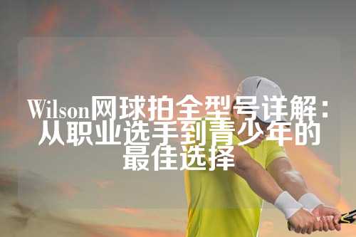 Wilson网球拍全型号详解：从职业选手到青少年的最佳选择