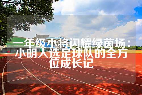 一年级小将闪耀绿茵场：小明入选足球队的全方位成长记