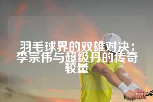 羽毛球界的双雄对决：李宗伟与超级丹的传奇较量