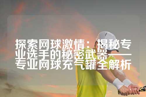 探索网球激情：揭秘专业选手的秘密武器——专业网球充气罐全解析