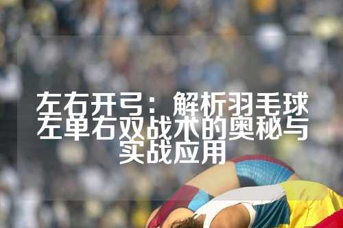 左右开弓：解析羽毛球左单右双战术的奥秘与实战应用
