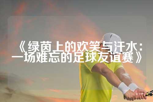 《绿茵上的欢笑与汗水：一场难忘的足球友谊赛》