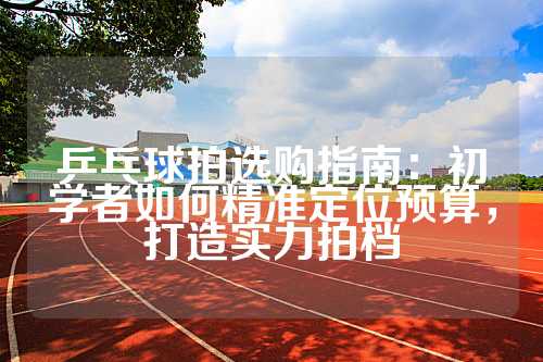 乒乓球拍选购指南：初学者如何精准定位预算，打造实力拍档