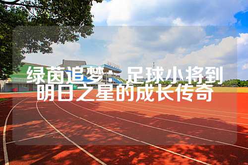 绿茵追梦：足球小将到明日之星的成长传奇