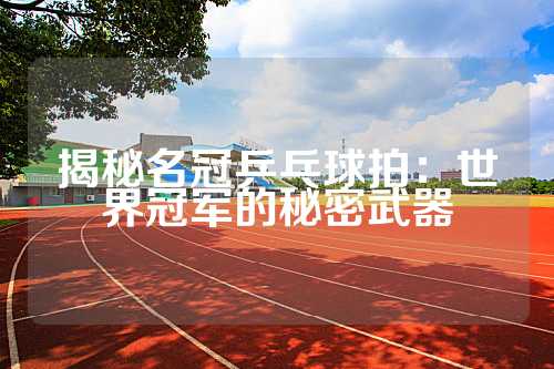 揭秘名冠乒乓球拍：世界冠军的秘密武器