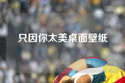 只因你太美桌面壁纸
