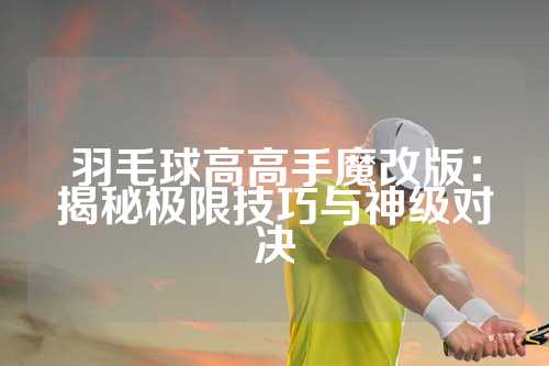 羽毛球高高手魔改版：揭秘极限技巧与神级对决