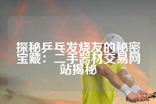 探秘乒乓发烧友的秘密宝藏：二手器材交易网站揭秘