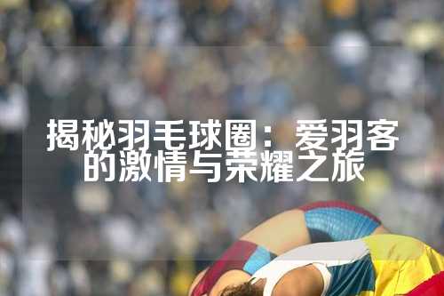 揭秘羽毛球圈：爱羽客的激情与荣耀之旅
