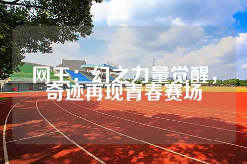 网王：幻之力量觉醒，奇迹再现青春赛场