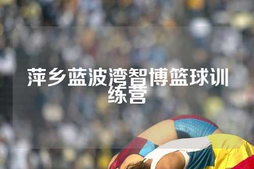 萍乡蓝波湾智博篮球训练营