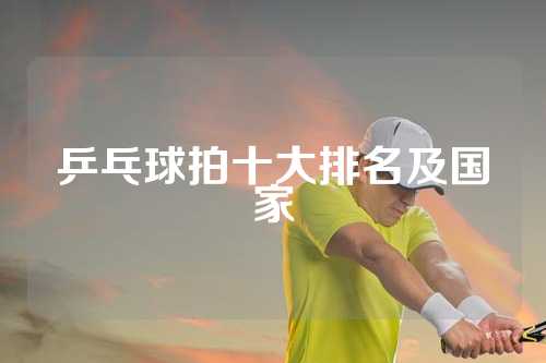 乒乓球拍十大排名及国家