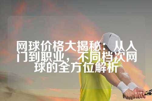 网球价格大揭秘：从入门到职业，不同档次网球的全方位解析