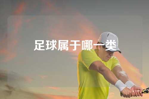 足球属于哪一类