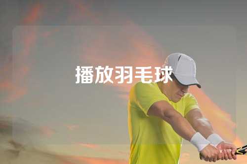 播放羽毛球
