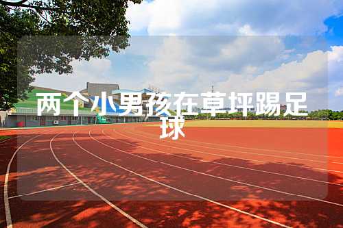 两个小男孩在草坪踢足球
