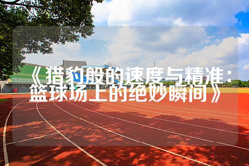 《猎豹般的速度与精准：篮球场上的绝妙瞬间》