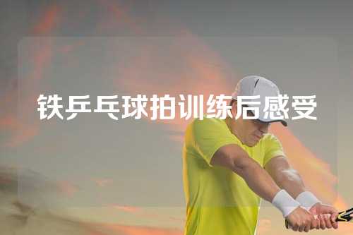 铁乒乓球拍训练后感受
