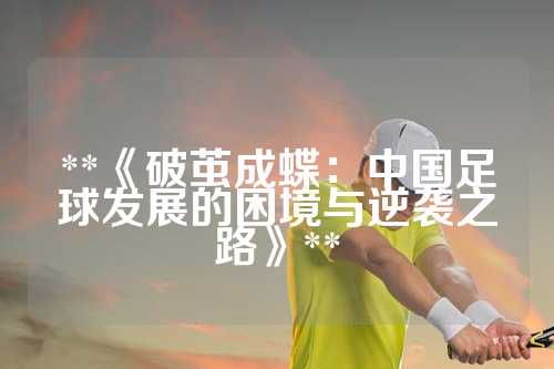 **《破茧成蝶：中国足球发展的困境与逆袭之路》**