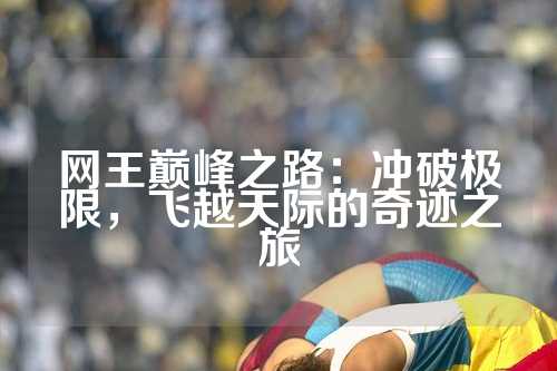 网王巅峰之路：冲破极限，飞越天际的奇迹之旅