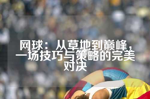 网球：从草地到巅峰，一场技巧与策略的完美对决