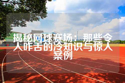 揭秘网球赛场：那些令人咋舌的冷知识与惊人案例