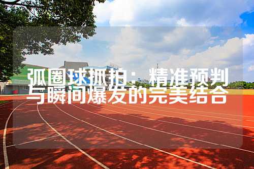 弧圈球抓拍：精准预判与瞬间爆发的完美结合