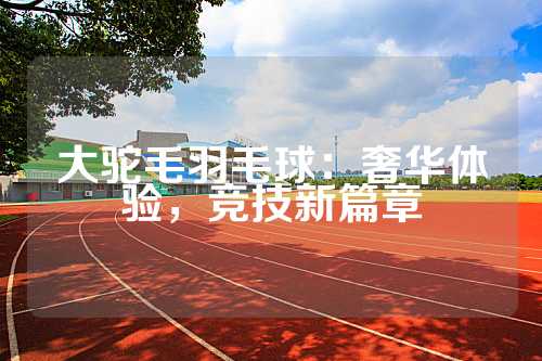 大驼毛羽毛球：奢华体验，竞技新篇章
