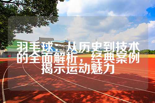 羽毛球：从历史到技术的全面解析，经典案例揭示运动魅力