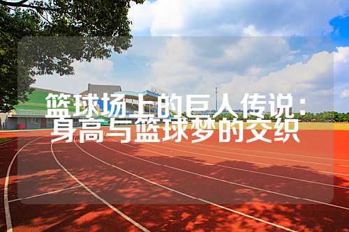 篮球场上的巨人传说：身高与篮球梦的交织