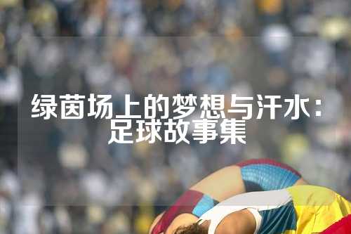 绿茵场上的梦想与汗水：足球故事集