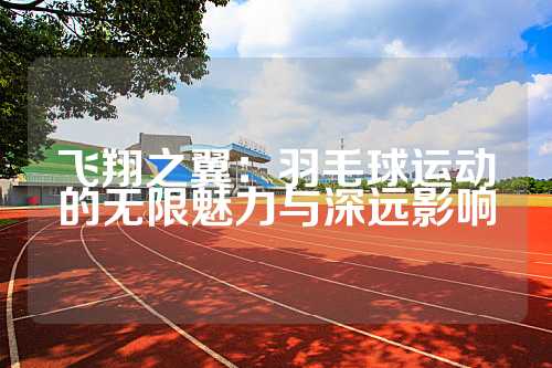 飞翔之翼：羽毛球运动的无限魅力与深远影响